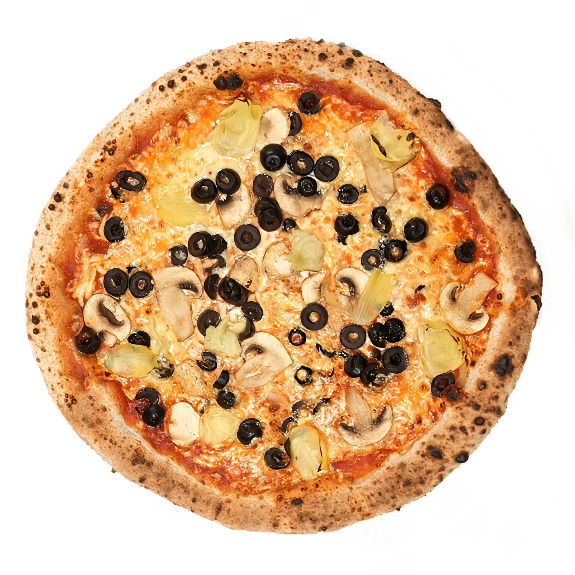 Mediterranea